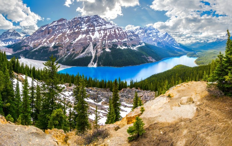 Create meme: lake banff canada, Peyto Lake, Alberta, canada., rocky mountains canada