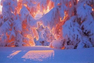 Create meme: winter nature, winter landscape