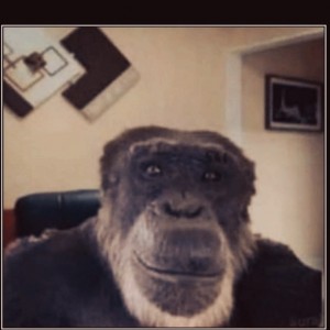 Create meme: meme monkey, correspondence