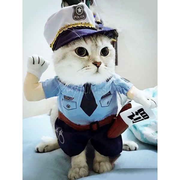 Create meme: eot in police uniform, a kitten in a police uniform, COP cat