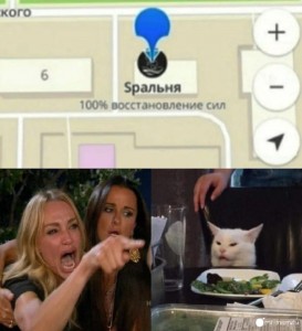 Создать мем: смешные кошки, мемы, скриншот