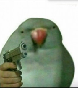 Create meme: memes with parrots, parrot meme, memes parrot with a gun