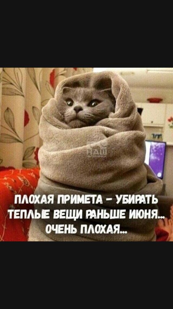 Картинки что то похолодало