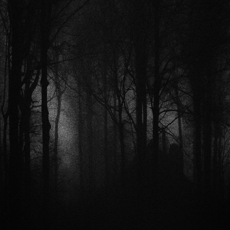 Create meme: dark forest, the forest dark, background dark forest