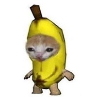 Create meme: a cat in a banana costume, Erica Stern, cat banana