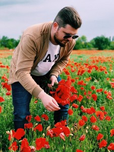 Create meme: poppy flower, poppies, poppy field