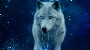 Create meme: ice wolves, blue wolf Wallpaper, wolf