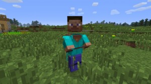 Create meme: minecraft villager, minecraft mod, minecraft 1 12 2