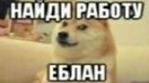 Create meme: dog memes, doge dog, doge meme