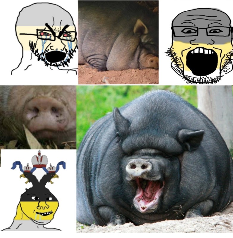 Create meme: boar boar, fat pig, the Ukrainian pig