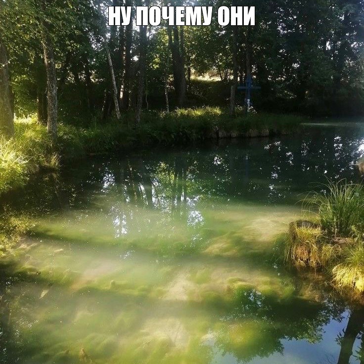 Create meme: nature painting, pond , pond