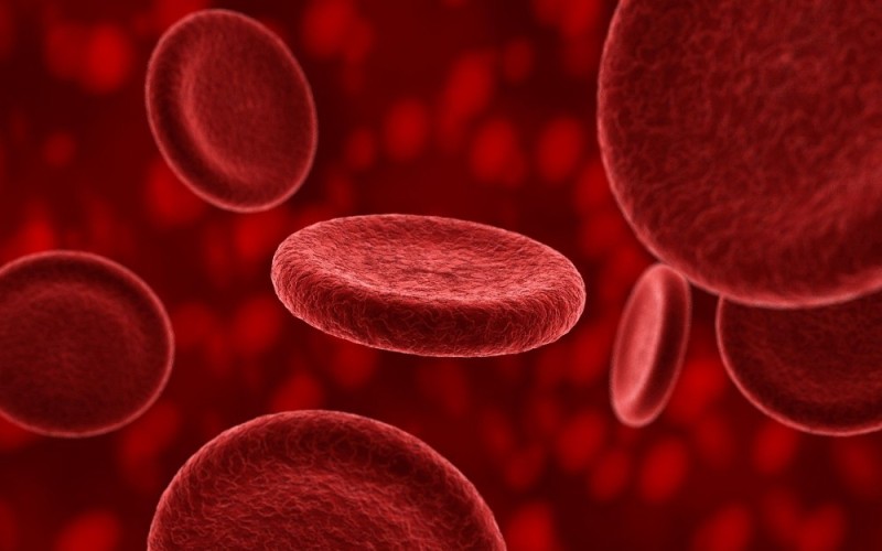 Create meme: red blood cells, blood , red blood cells