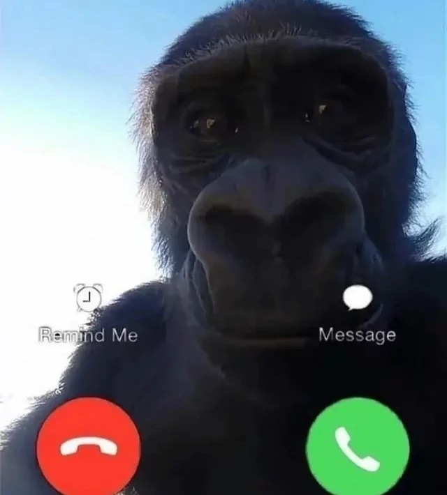 Create meme: monkey call, chimpanzee, chimp meme