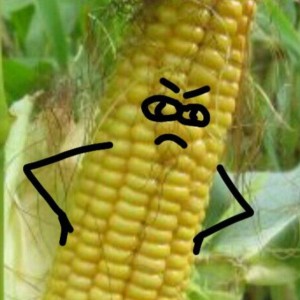 Создать мем: вибратор в виде кукурузы, кукуруза это зерновая культура или овощная, семена кукурузы