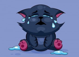 Create meme: character, crying cat