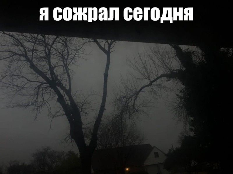 Create meme: photo of a dark forest, gloomy landscape, dark photos