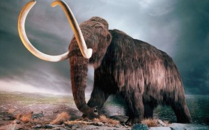 Create meme: Royal mammoth, mammoths are not extinct, mammoth photo animal
