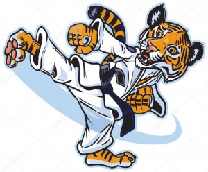 Create meme: mascot Taekwondo, Taekwondo player cartoon, karate cartoon