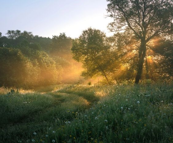 Create meme: morning landscape, Dawn and fog, dawn morning