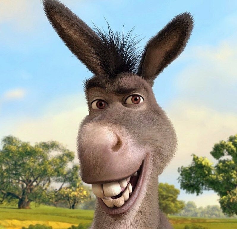Create meme: donkey shrek, donkey from shrek drawing, the jackass of shrek