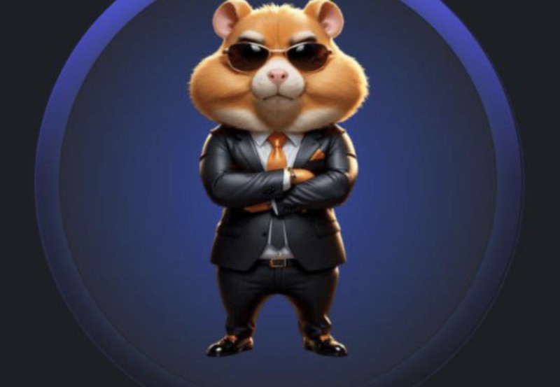 Create meme: The Hamster Kombat game, hamster coin, hamster game