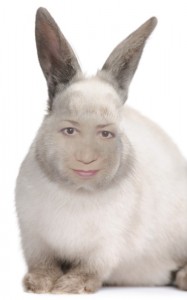 Создать мем: пожилой кроль, кролл валакас, валакас кролик