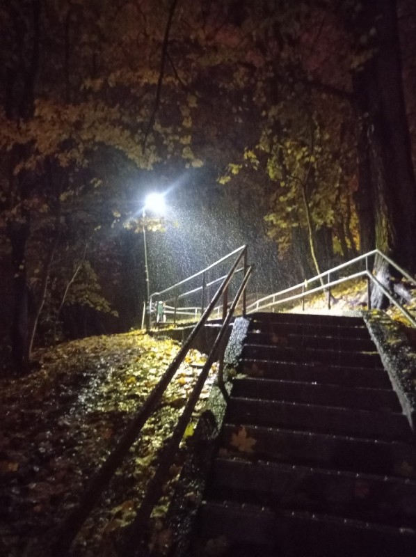 Create meme: stairs in the forest, vorobyovy gory stairs, darkness