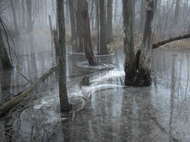 Create meme: icy fog, landscape , nature 