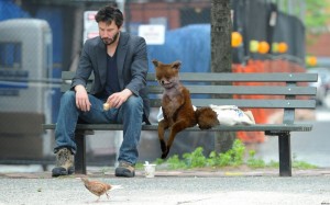 Create meme: Keanu Reeves meme what's up, pie me too, Keanu with uporotyh Fox, sad Keanu