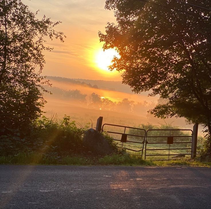 Create meme: nature , dawn , Morning road