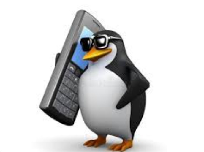 Создать мем: алло пингвин, злой пингвин, мем пингвин с телефоном