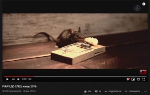 Создать мем: гифка мышь в мышеловке, мышь в мышеловке фильм, мышонок и сыр мышеловка анимация