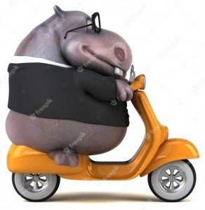 Create meme: Hippo