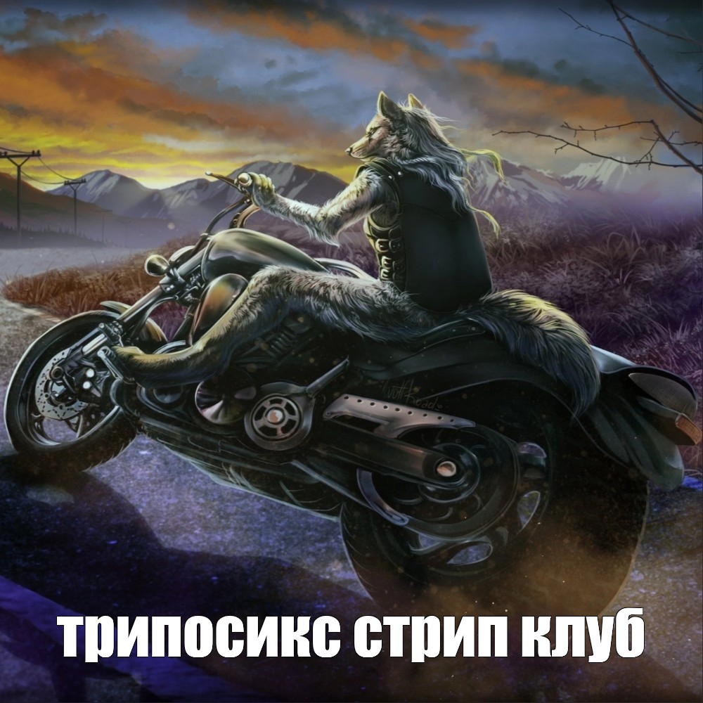 Волк на мотоцикле обои