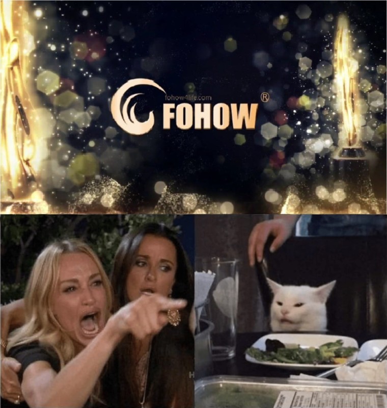 Create meme: cat meme , fohow, the meme with the cat at the table