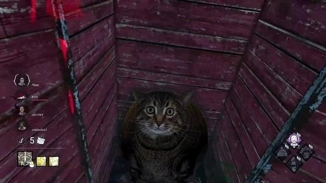 Create meme: dead by daylight, cat , dead by daylight the friendly