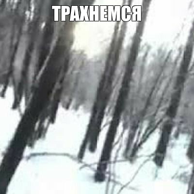 Create meme: in good quality, winter forest, nature winter