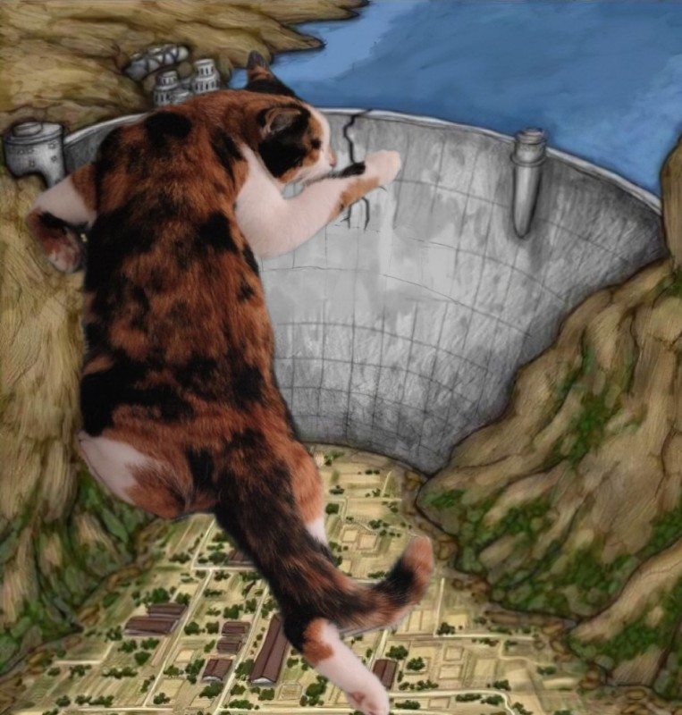 Create meme: a meme with a dam, dam meme, cat 