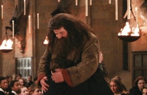 Create meme: Hagrid Harry Potter, Harry Potter