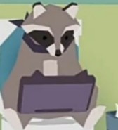 Create meme: A game about a raccoon, raccoon , raccoon 