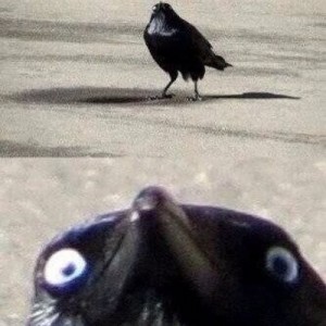 Create meme: meme Raven, crow meme red eyes, Raven