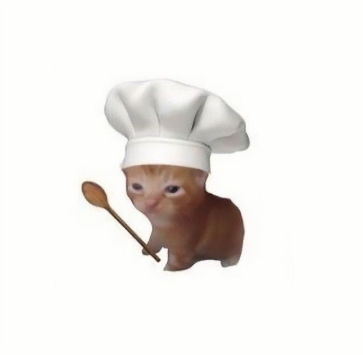 Create meme: The kitten is a cook, the cat in the chef's hat, chef 's hat