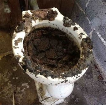 Create meme: The toilet bowl is a turd, dirty toilet, the old toilet 