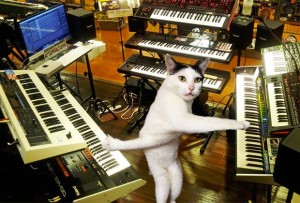Create meme: cat pianist