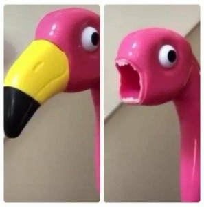 Create meme: Twitter, pink flamingos