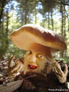 Create meme: mushroom