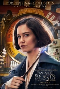 Create meme: poster, fantastic beasts and their habitats, In