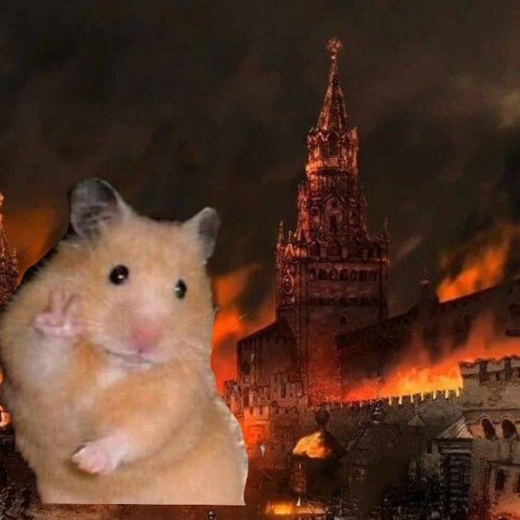 Create meme: the fire in Moscow of 1812, moscow is burning 1812, funny animals 