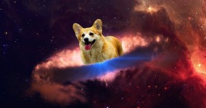 Create meme: Corgi, Corgi, Welsh Corgi Pembroke