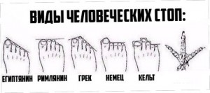 Создать мем: египетская стопа, форма пальцев ног, пальцы ног